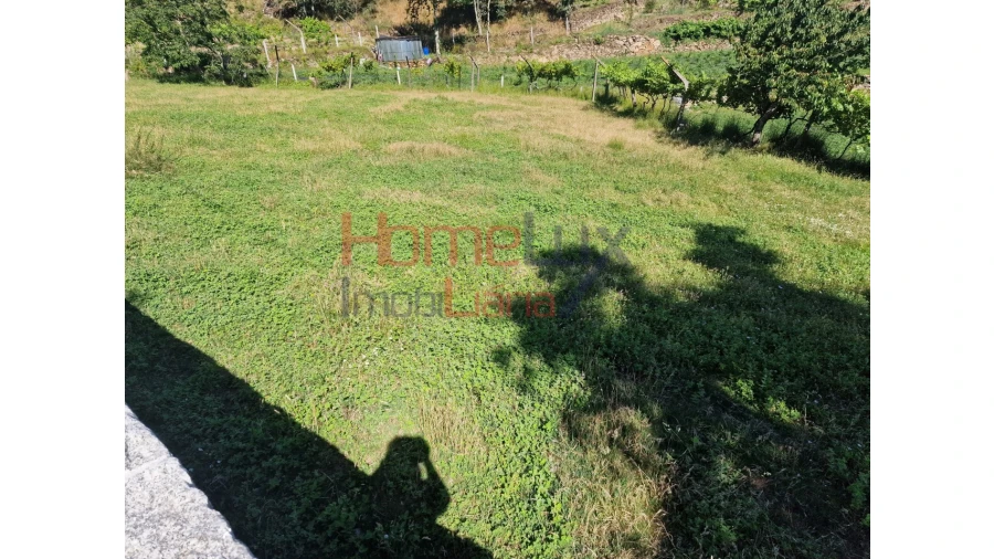 Terreno para Venda em São Cipriano Foto 2