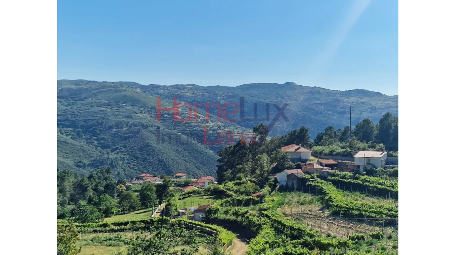 Terreno para Venda em São Cipriano Foto 3