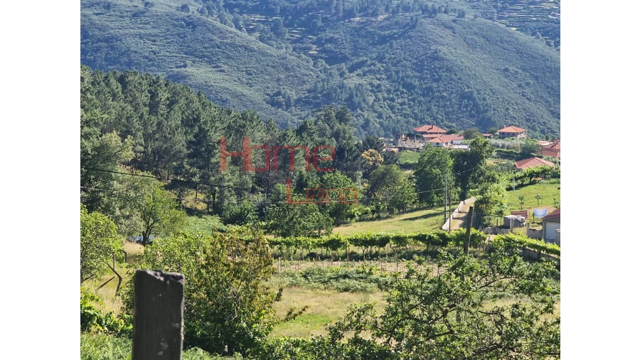 Terreno para Venda em São Cipriano Foto 5