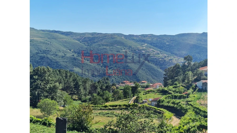 Terreno para Venda em São Cipriano Foto 23