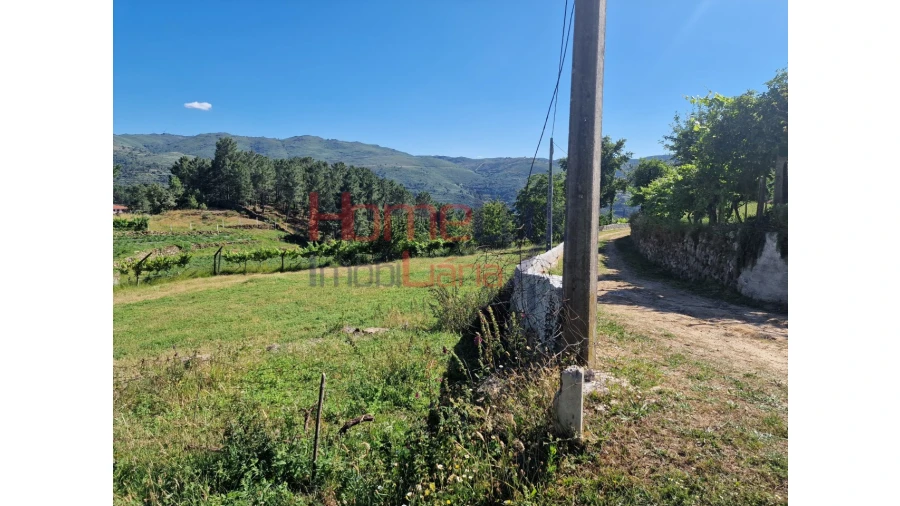 Terreno para Venda em São Cipriano Foto 27