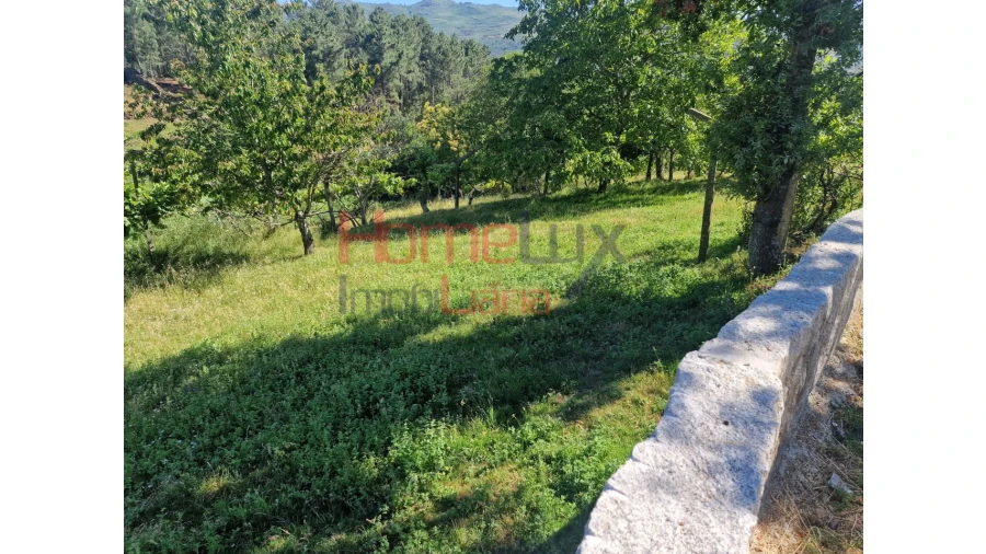 Terreno para Venda em São Cipriano Foto 29