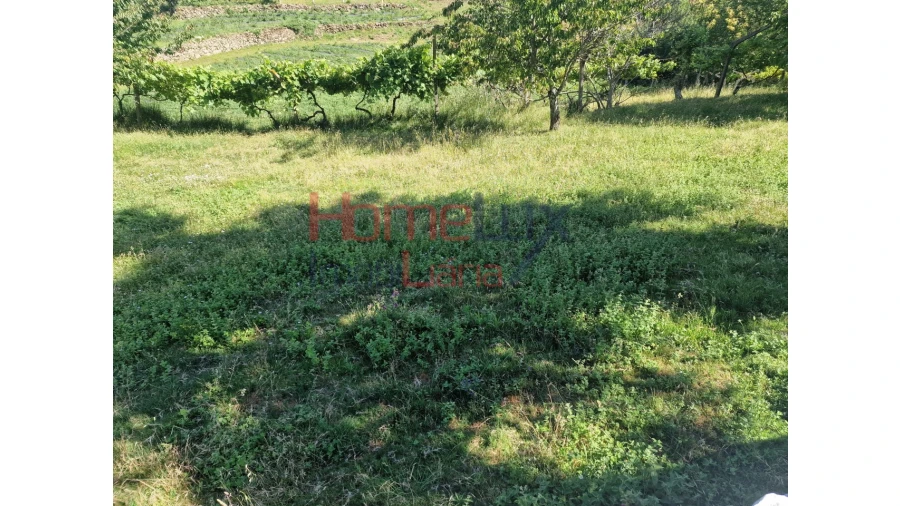 Terreno para Venda em São Cipriano Foto 30
