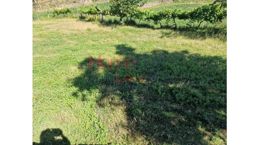 Terreno para Venda em São Cipriano Foto 31
