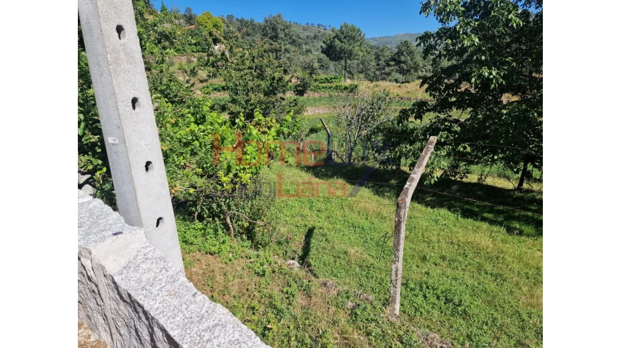 Terreno para Venda em São Cipriano Foto 35