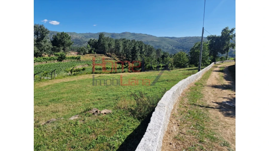 Terreno para Venda em São Cipriano Foto 37