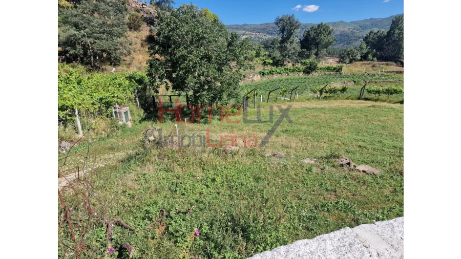 Terreno para Venda em São Cipriano Foto 38