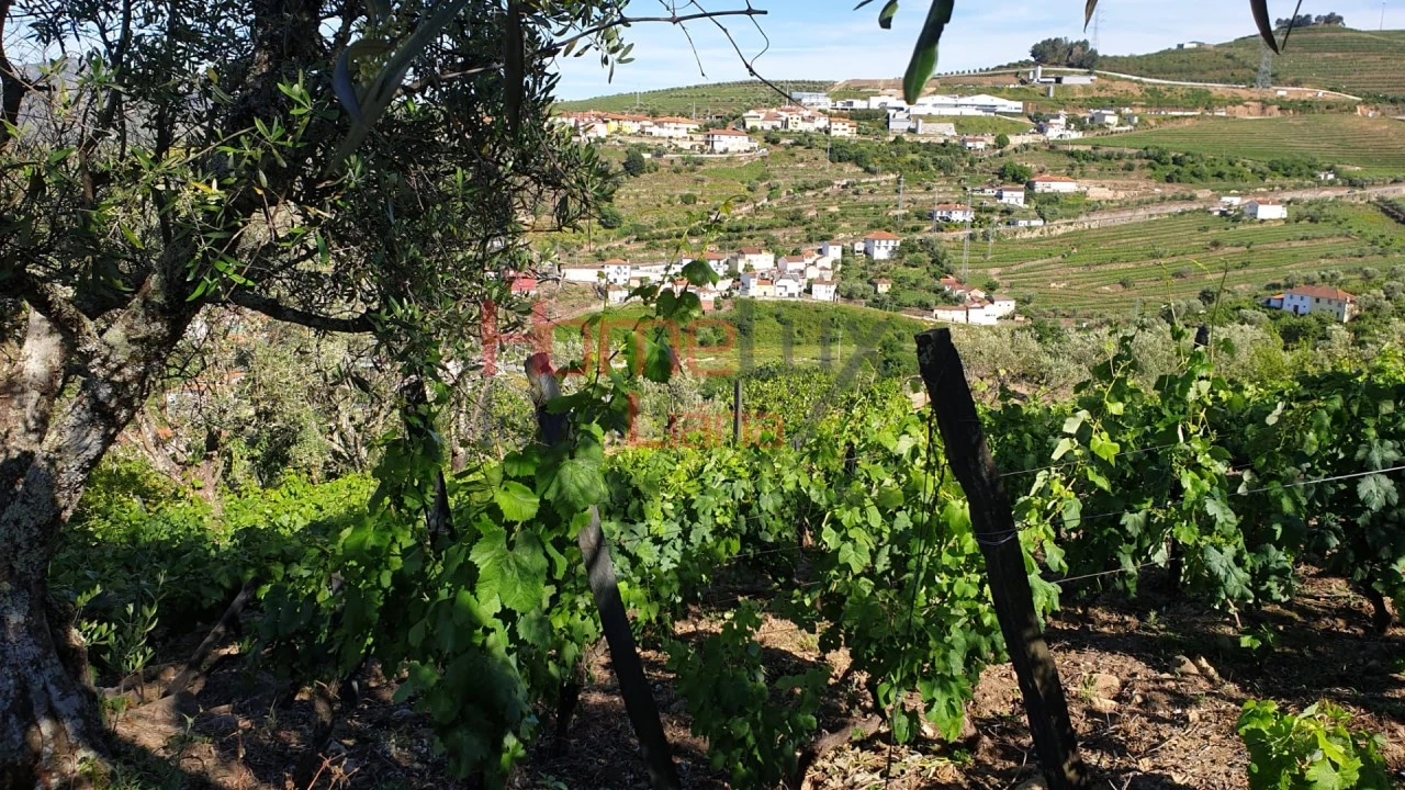 Terreno para Venda em Cambres Foto 1