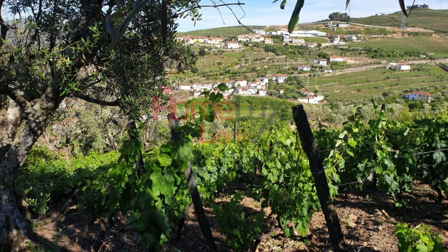 Terreno para Venda em Cambres Foto 1