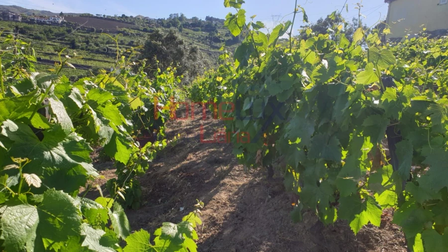 Terreno para Venda em Cambres Foto 11