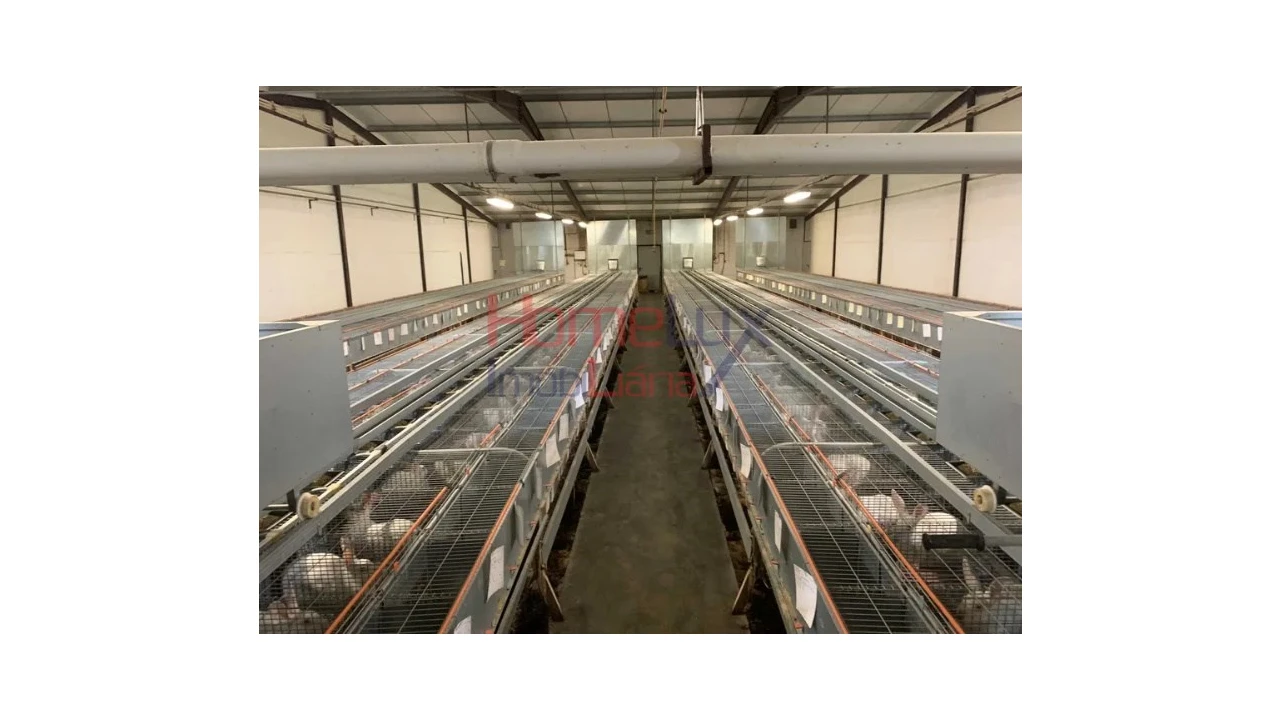 Armazém para Venda em Alfaiates Foto 9