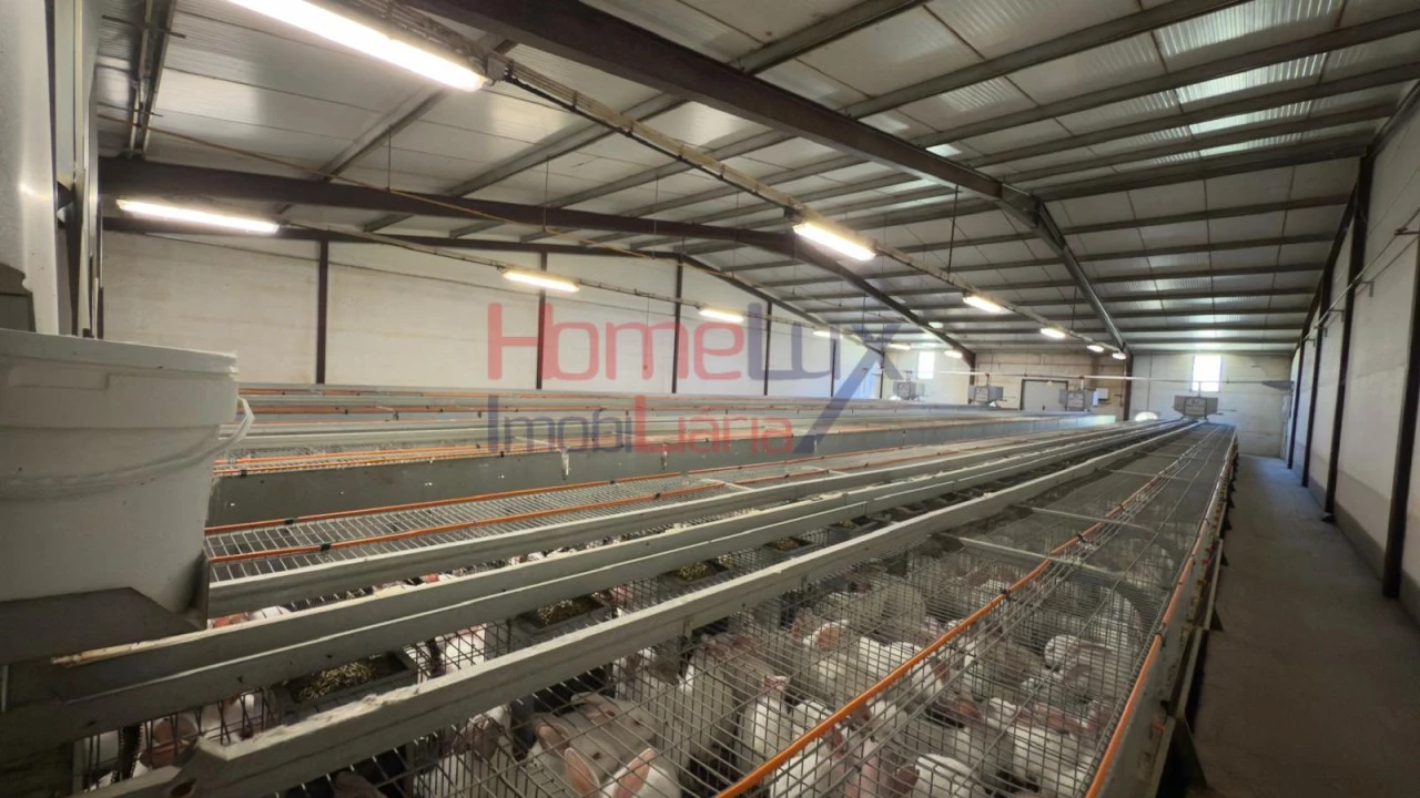 Armazém para Venda em Alfaiates Foto 7