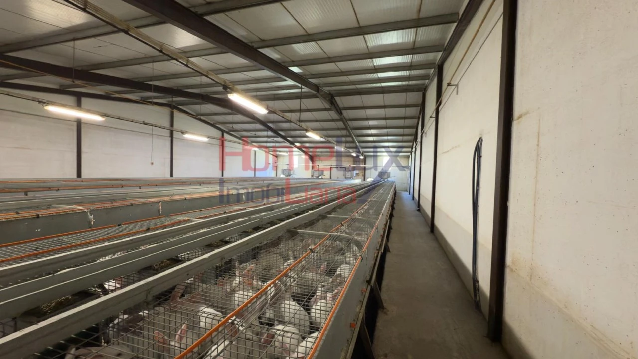 Armazém para Venda em Alfaiates Foto 10