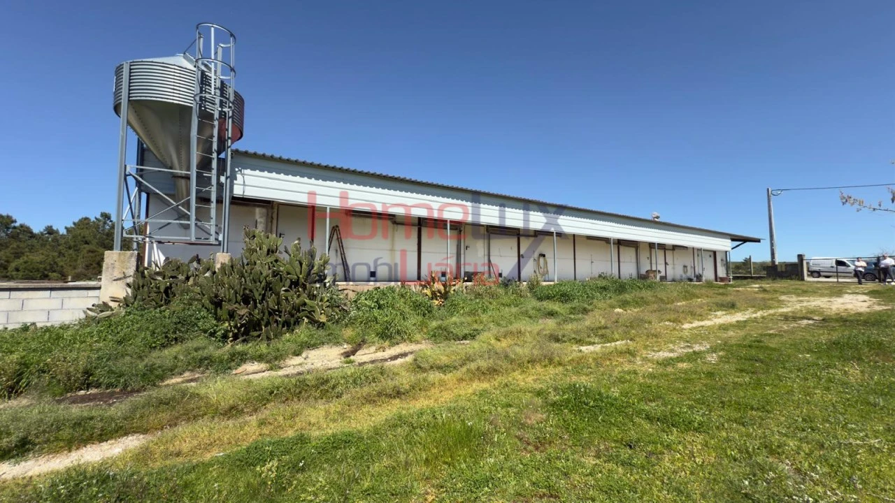 Armazém para Venda em Alfaiates Foto 23