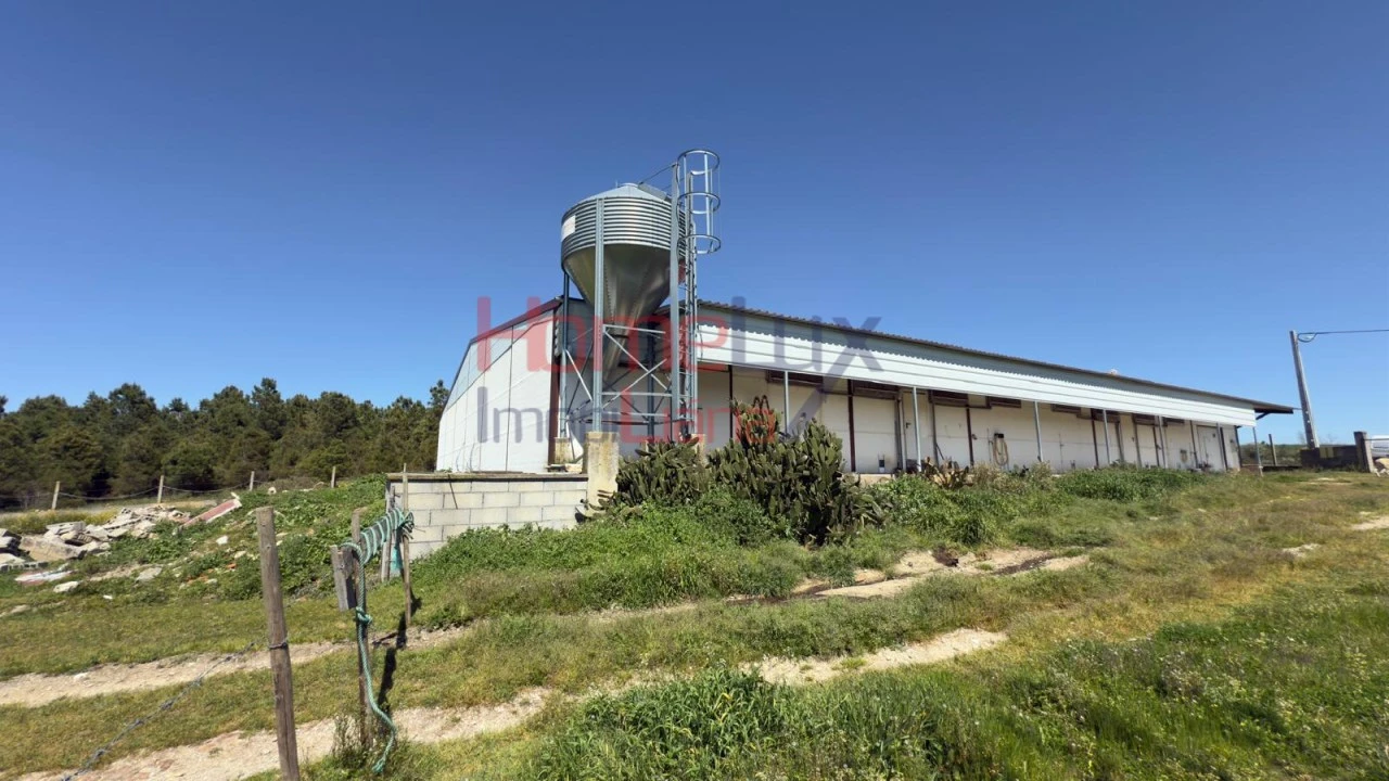 Armazém para Venda em Alfaiates Foto 24