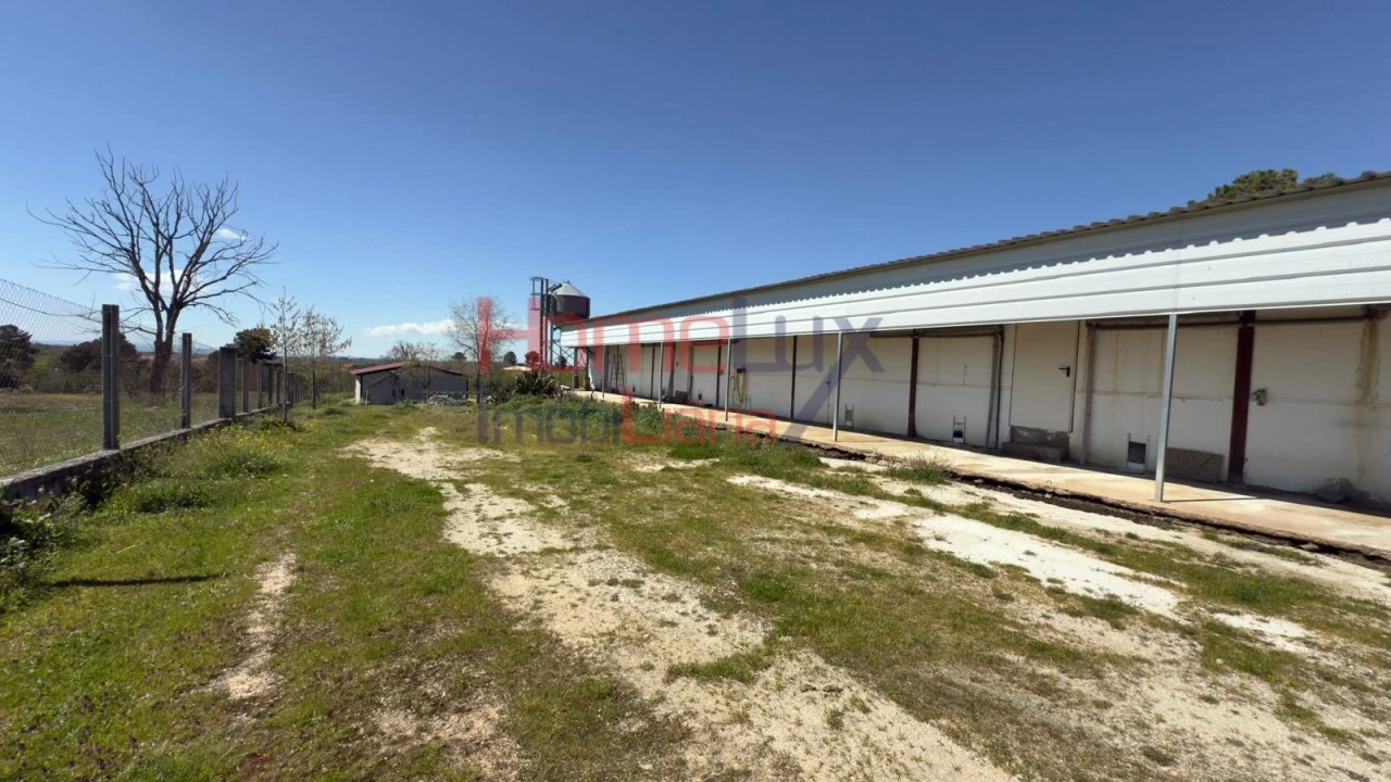 Armazém para Venda em Alfaiates Foto 26