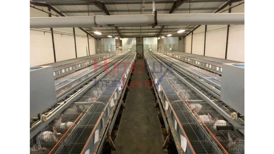 Armazém para Venda em Alfaiates Foto 9