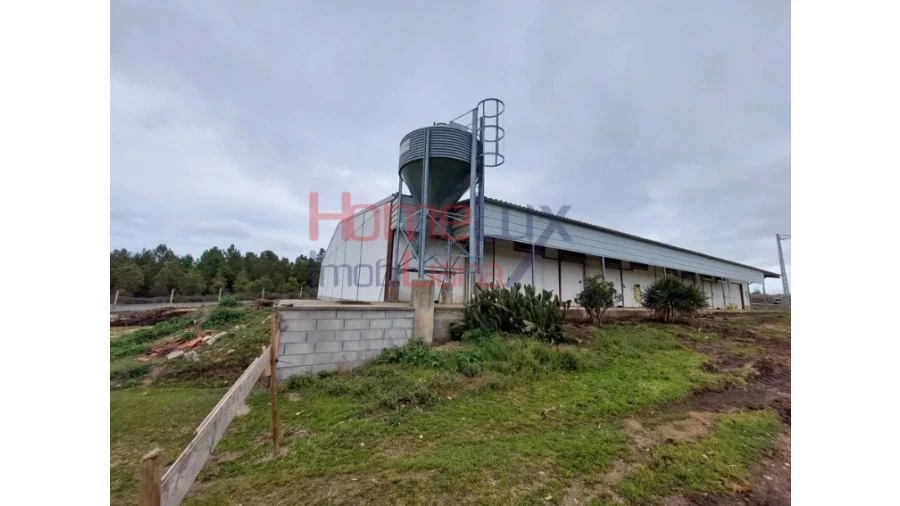 Armazém para Venda em Alfaiates Foto 3