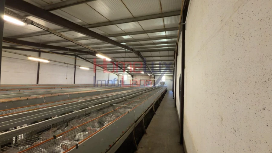 Armazém para Venda em Alfaiates Foto 6