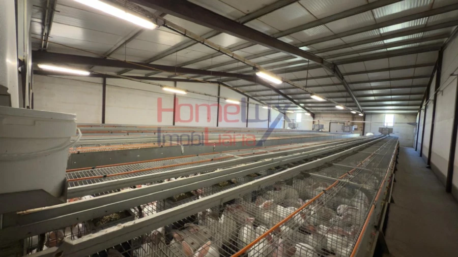 Armazém para Venda em Alfaiates Foto 7