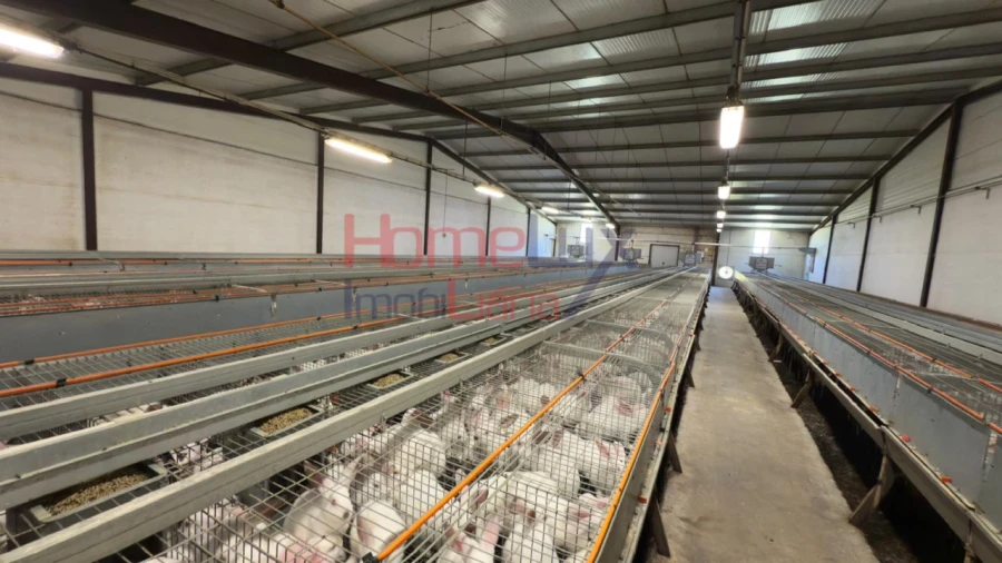 Armazém para Venda em Alfaiates Foto 8