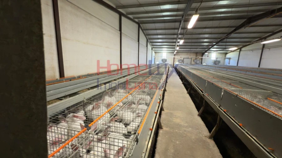 Armazém para Venda em Alfaiates Foto 12