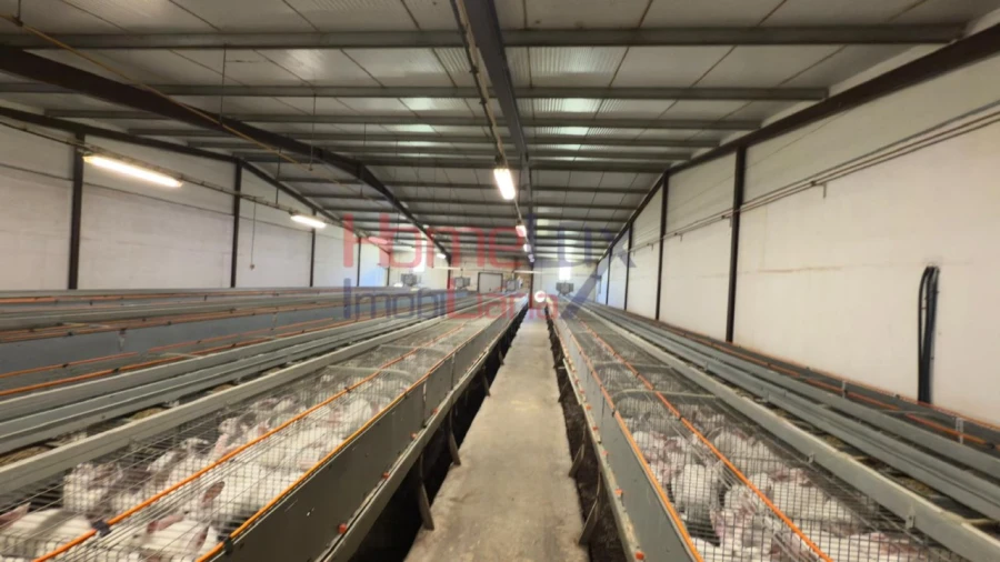 Armazém para Venda em Alfaiates Foto 13