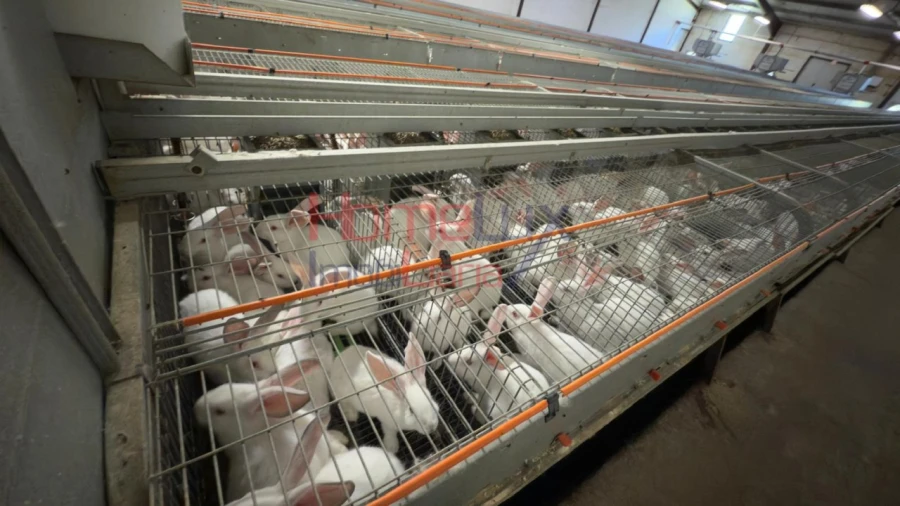 Armazém para Venda em Alfaiates Foto 14