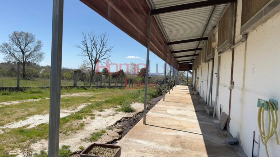 Armazém para Venda em Alfaiates Foto 19