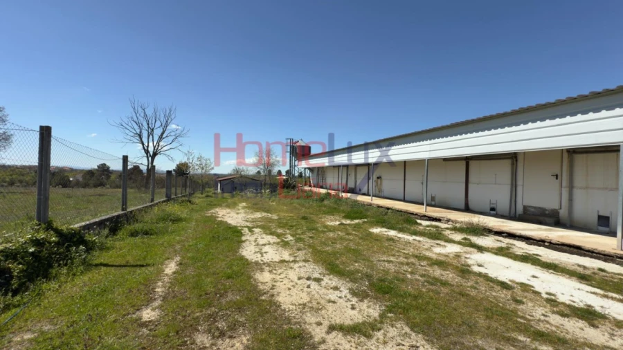 Armazém para Venda em Alfaiates Foto 25