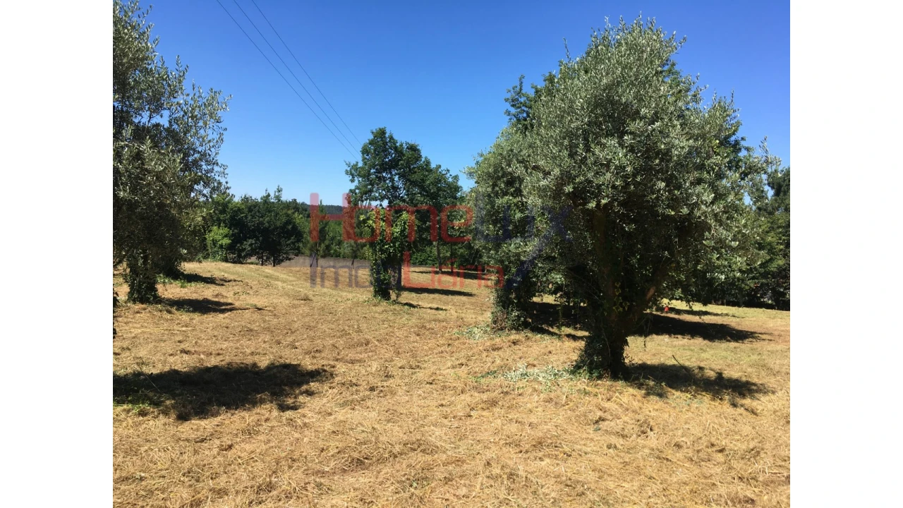 Quinta T2 para Venda em Valongo do Vouga Foto 3