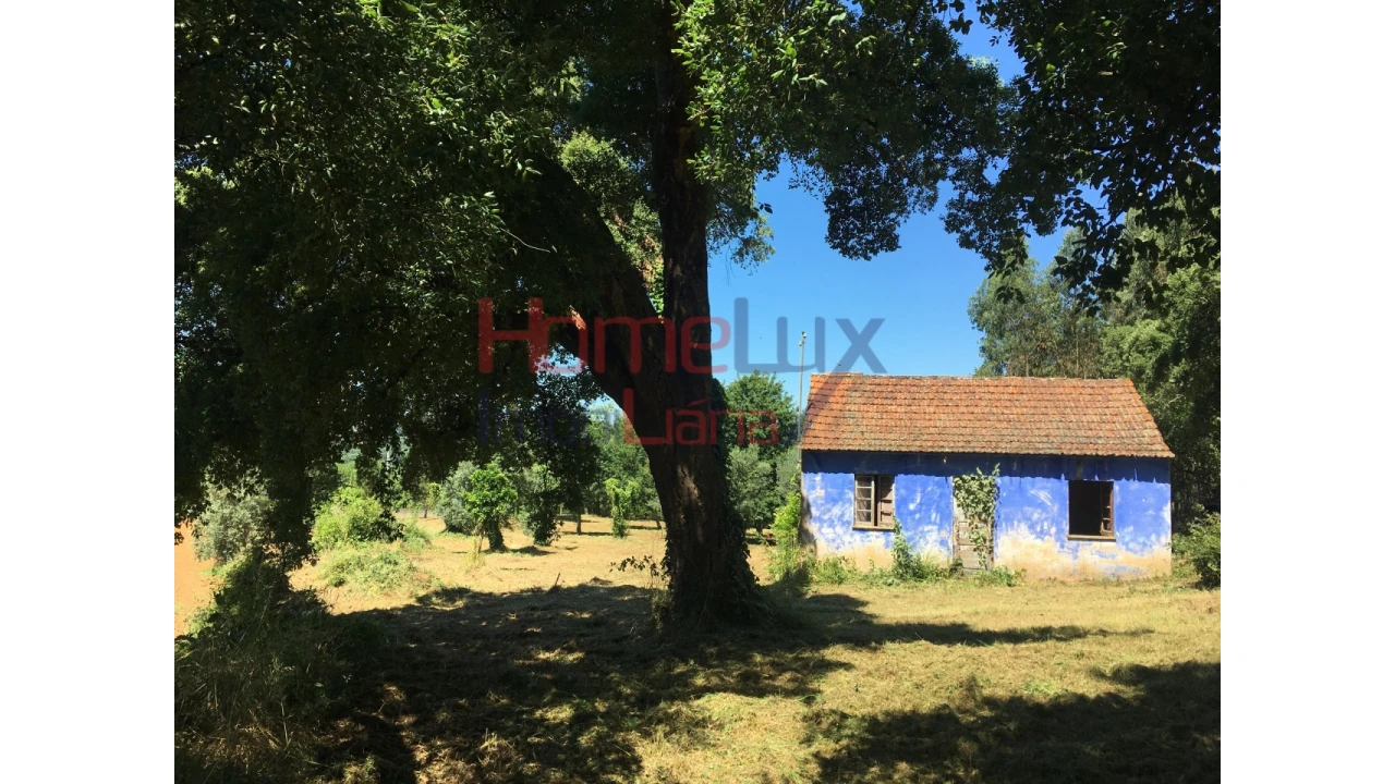 Quinta T2 para Venda em Valongo do Vouga Foto 15