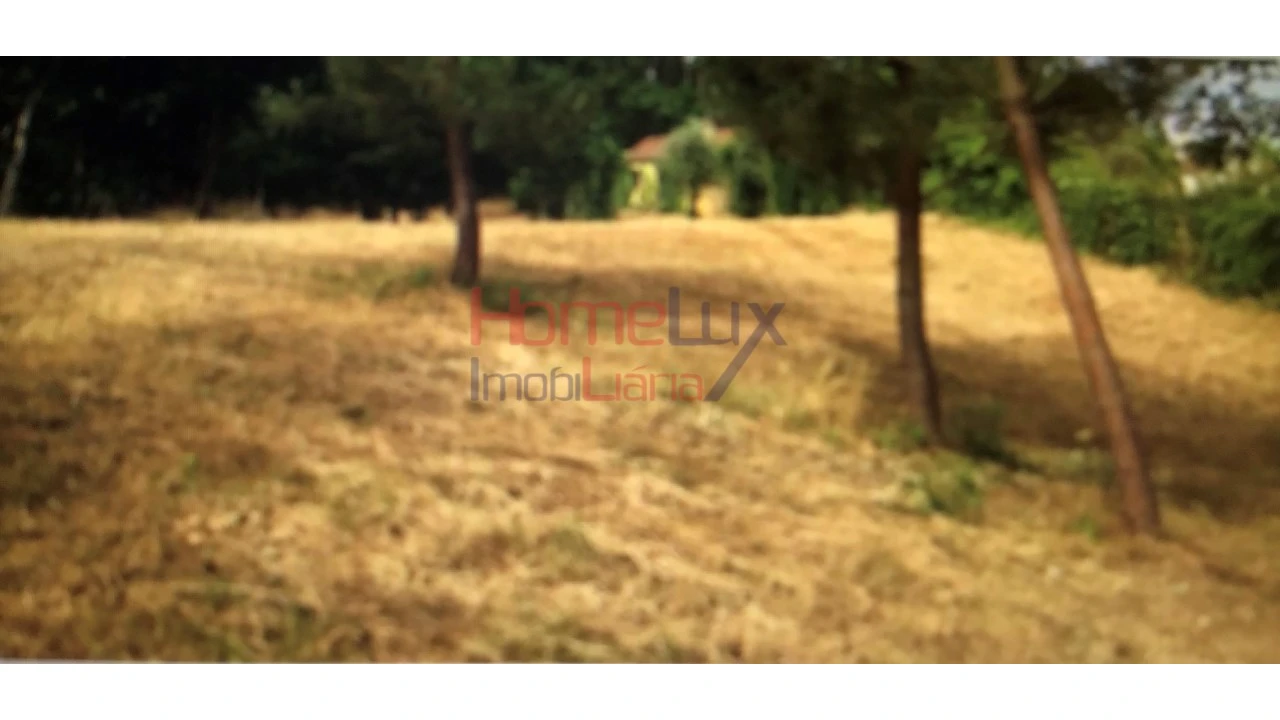 Quinta T2 para Venda em Valongo do Vouga Foto 28