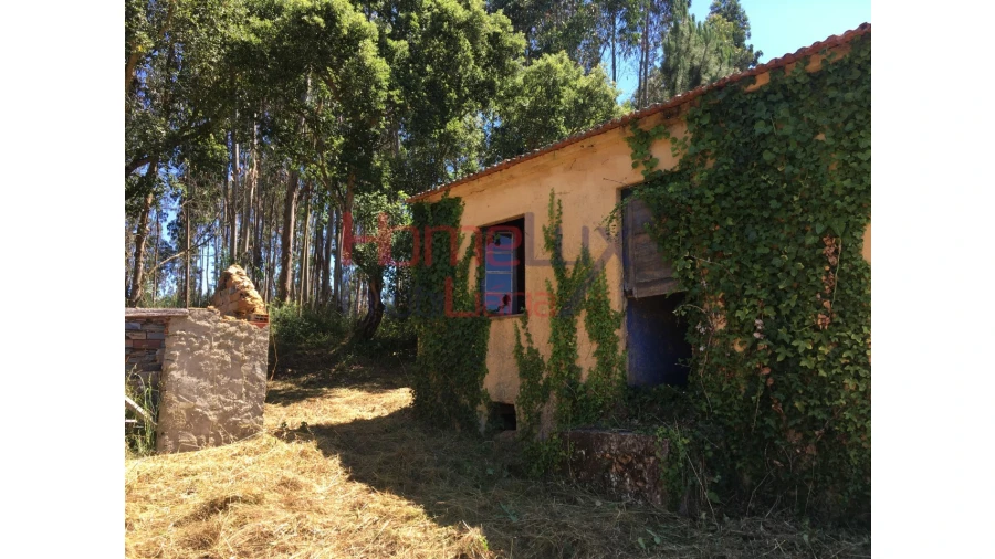 Quinta T2 para Venda em Valongo do Vouga Foto 9