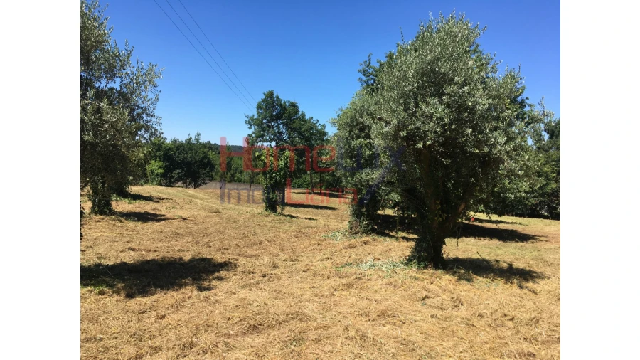 Quinta T2 para Venda em Valongo do Vouga Foto 18