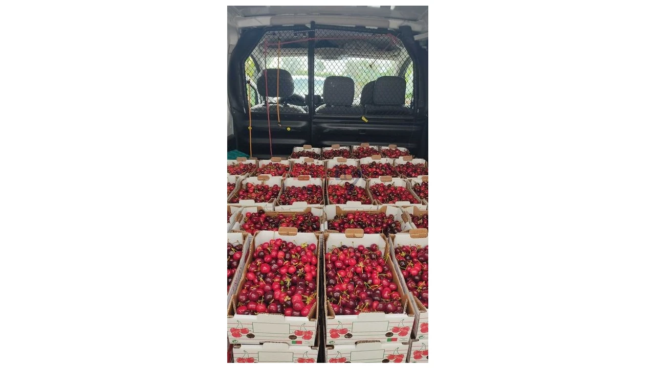 Terreno para Venda em Barro Foto 3