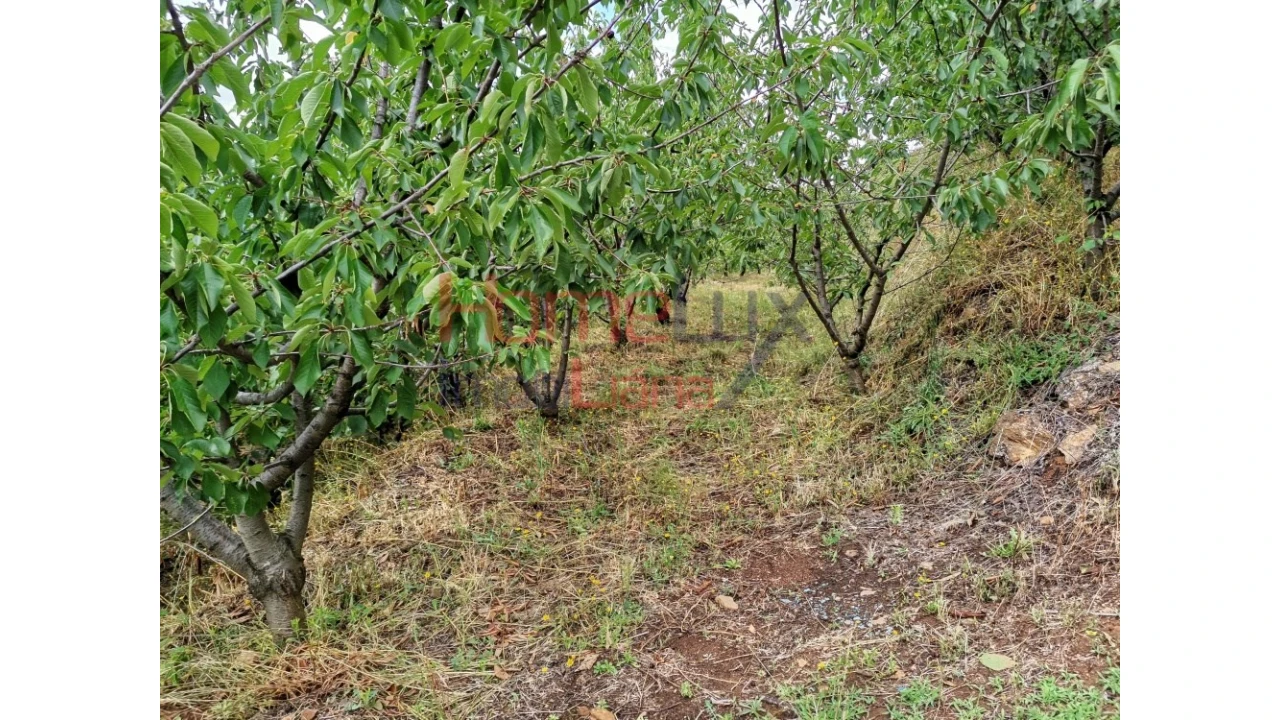 Terreno para Venda em Barro Foto 4