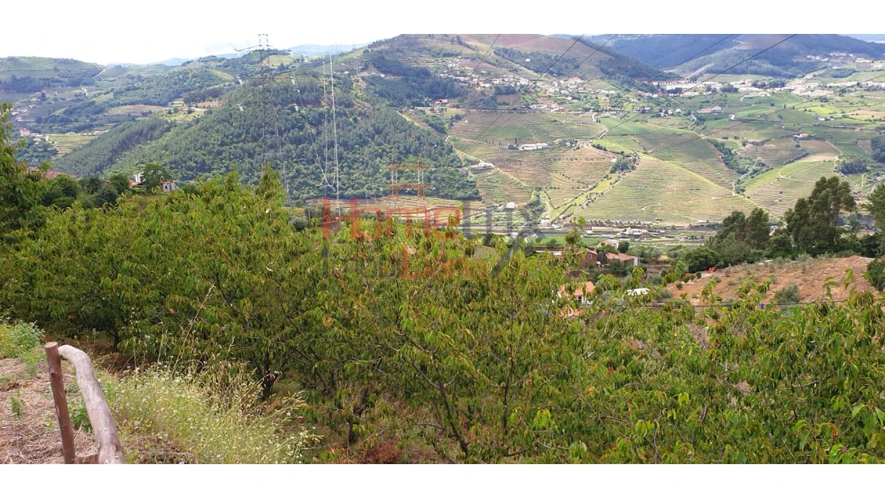 Terreno para Venda em Barro Foto 6