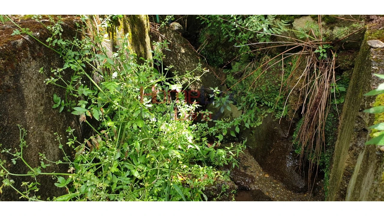 Terreno para Venda em Barro Foto 7