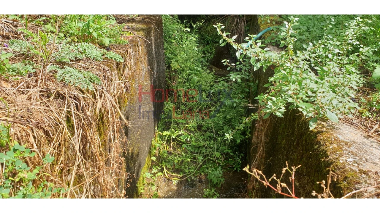 Terreno para Venda em Barro Foto 8