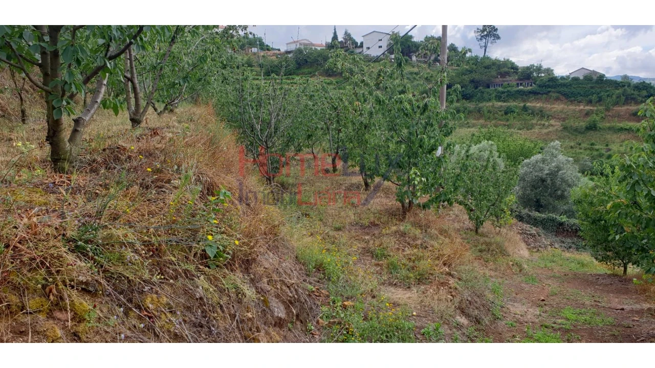 Terreno para Venda em Barro Foto 11