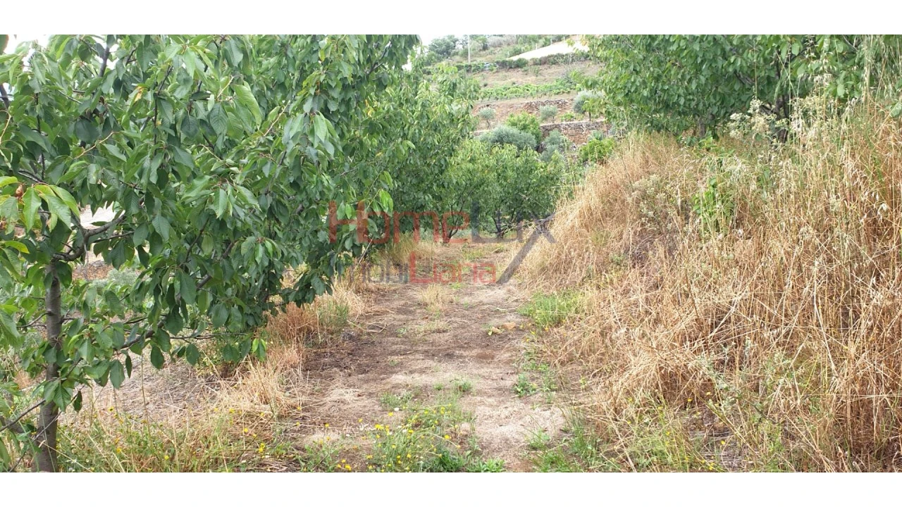 Terreno para Venda em Barro Foto 17