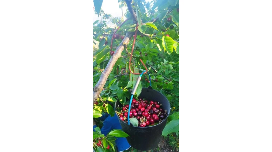 Terreno para Venda em Barro Foto 2