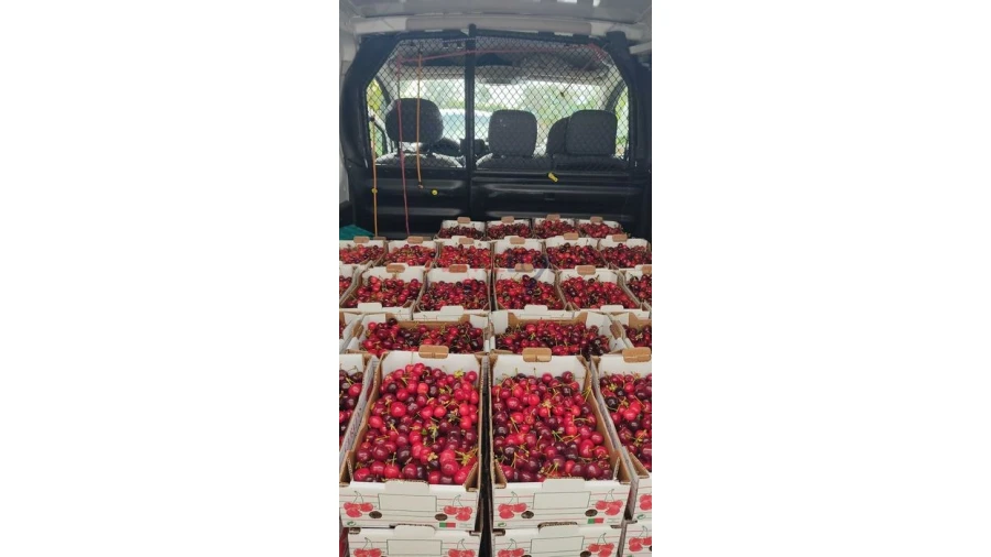 Terreno para Venda em Barro Foto 3