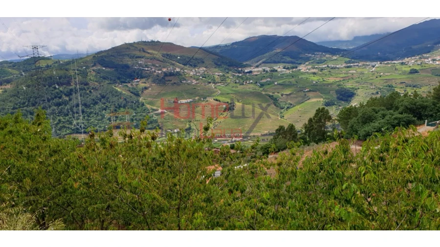 Terreno para Venda em Barro Foto 5