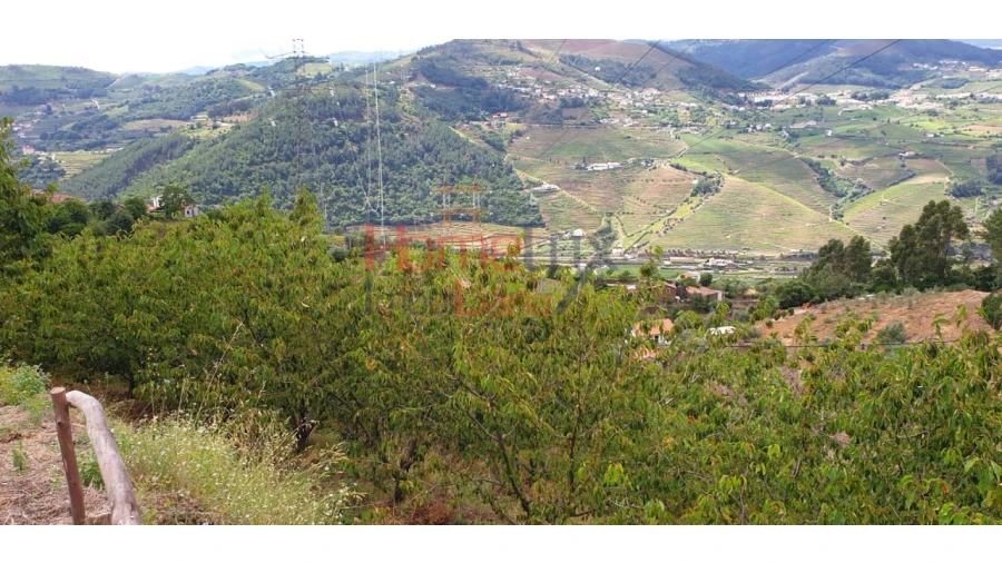 Terreno para Venda em Barro Foto 6
