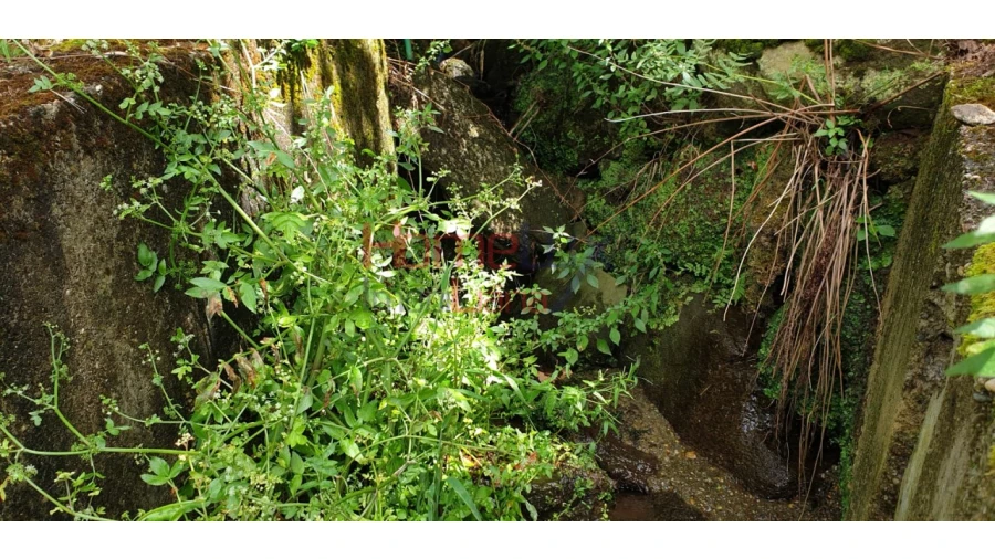 Terreno para Venda em Barro Foto 7