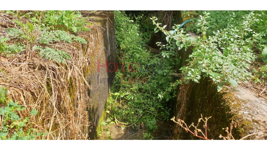 Terreno para Venda em Barro Foto 8