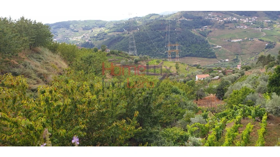 Terreno para Venda em Barro Foto 9