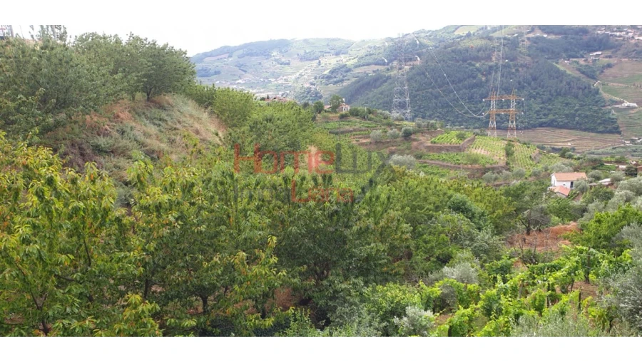 Terreno para Venda em Barro Foto 10